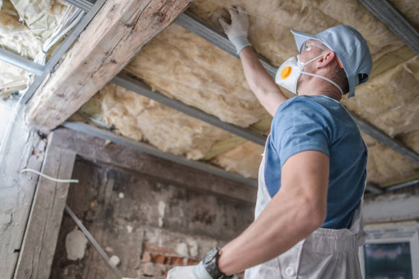 Best Specialized Insulation Services in Litchfield Park, AZ